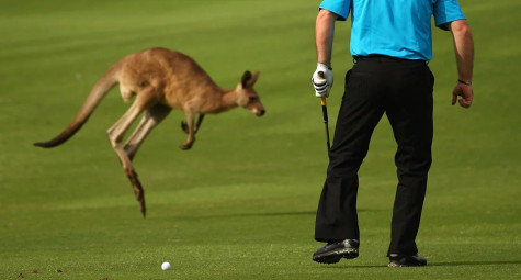 Chơi golf kiểu Úc