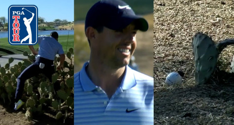 Pha giải cứu bóng giữa bụi xương rồng của Rory McIlroy