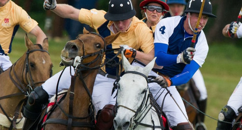 Polo, thú chơi quý tộc