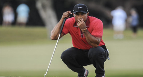 Tiger Woods không dự US Open 2014