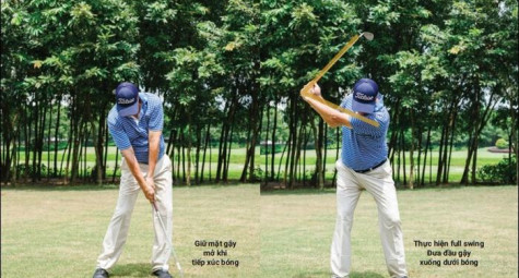 Kĩ thuật chơi Flop shot/Lob shot