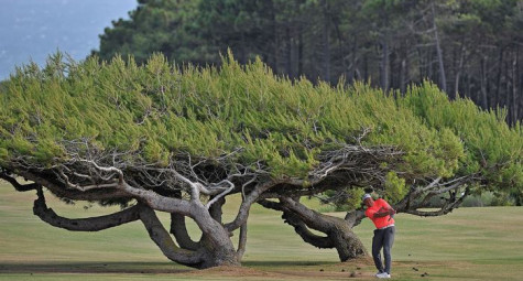 World Corporate Golf Challenge - Vietnam Final 2018