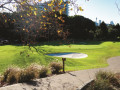 Golf mùa Thu ở Sydney