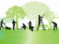 Chi phí bảo dưỡng sân golf