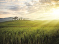 Khám phá du lịch golf Chiang Mai