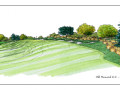 Xếp hạng sân golf: Đánh giá sao cho chuẩn?