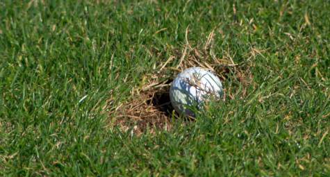 Cách xử lý khi bóng rơi vào divot