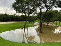 Vòng 1 Mayakoba Golf Classic tạm hoãn do thời tiết xấu