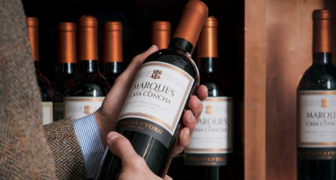 Marques de Casa Concha – Đẳng cấp rượu vang Chi-lê