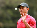 Tiger Woods xác nhận không thi đấu tại WGC-Mexico Championship 2020