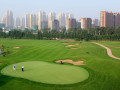 Ngành công nghiệp golf vs Đại dịch Coronavirus