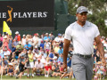 Tiger Woods không tham dự The Players Championship 2020