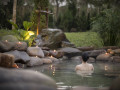 “Nàng công chúa ngủ trong rừng” Alba Wellness Resort