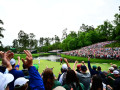 The Masters 2020 cấm khán giả vào sân