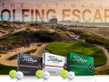 Mua bóng Titleist – Trọn gói golf 3 ngày 2 đêm tại The Bluffs Hồ Tràm