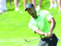 Vì sao Tiger Woods không dùng găng khi chip