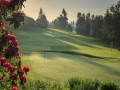 Hiểu về sân golf "xanh"