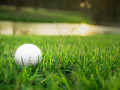 Lựa chọn cỏ cho sân golf