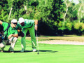 Caddie được làm gì và không được làm gì? 