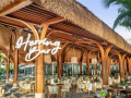 Herring Bar: Khi nguyên liệu địa phương kể câu chuyện Phú Quốc