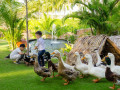 Fusion Resort Cam Ranh giới thiệu nông trại mới 