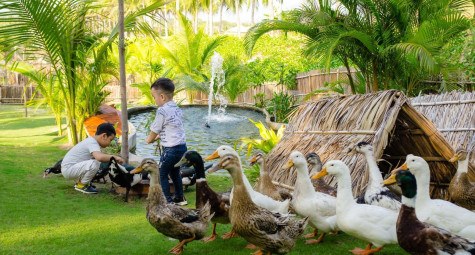 Fusion Resort Cam Ranh giới thiệu nông trại mới 