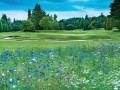 Banchory Golf Club hole #3: Meadow heaven