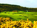 Royal Dornoch Golf Club #hole 5