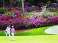 The Masters: Lịch sử và những điều thú vị 