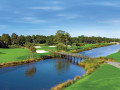  Palmetto Dunes: Viên ngọc quý của Nam Carolina