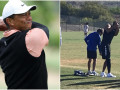 Tiger Woods tập swing trên sân bóng đá