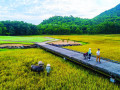Tạo ra sân golf thân thiện với môi trường
