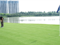 Kiểm soát khoảng cách khi putt 