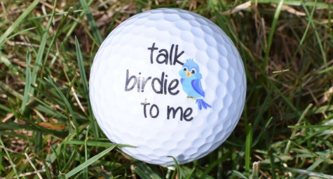 Hiểu về “Birdie” 