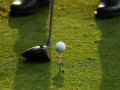Tìm hiểu về các loại cỏ sân golf phổ biến hiện nay 
