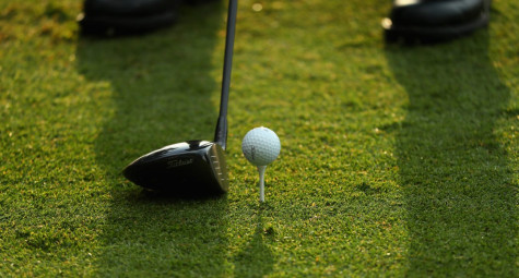 Tìm hiểu về các loại cỏ sân golf phổ biến hiện nay 