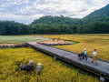 Golfer có thể góp phần vào du lịch bền vững?