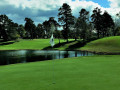 Types of Grass on Golf Courses