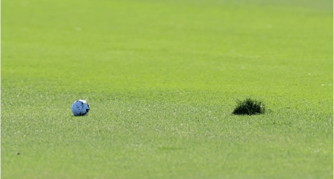 Sự tàn phá của bóng bùn tại Hero World Challenge 2022
