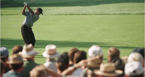 Quả bóng ghi HIO đầu tiên của Tiger Woods được đấu giá với số tiền khổng lồ