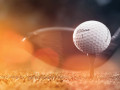Titleist Pro V1 – Quả bóng golf mở đường cho cuộc cách mạng hóa