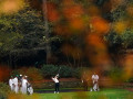The Masters 2023: Augusta National công bố hình ảnh tee box hố 13