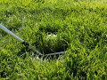 Kỹ thuật cứu bóng golf trong bẫy bụi cỏ (Deep Rough) mọi golfer nên biết