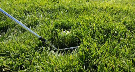Kỹ thuật cứu bóng golf trong bẫy bụi cỏ (Deep Rough) mọi golfer nên biết