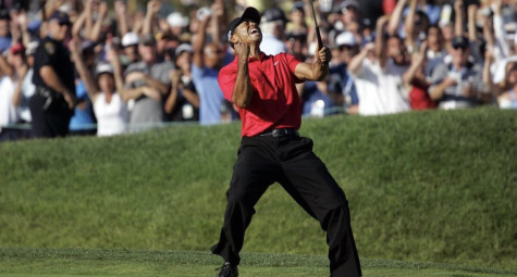 Tiger Woods ghi bao nhiêu birdie trong sự nghiệp PGA Tour?