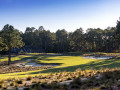 Pinehurst No.2: Chiến địa khắc nghiệt 
