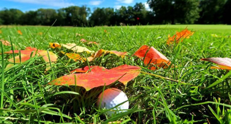 5 điều golfer cần biết khi chơi golf vào mùa thu