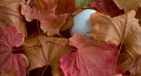 Giải mã “Leaf Rule” giúp golfer không mất bóng oan giữa mùa lá rụng