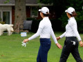 Nếu một chú chó "trộm" bóng, golfer xử lý thế nào?