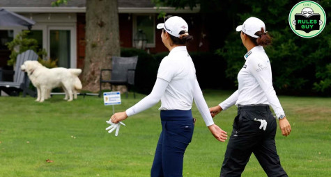 Nếu một chú chó "trộm" bóng, golfer xử lý thế nào?